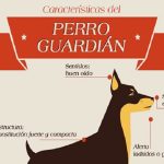 Las 10 razas de perros más guardianes