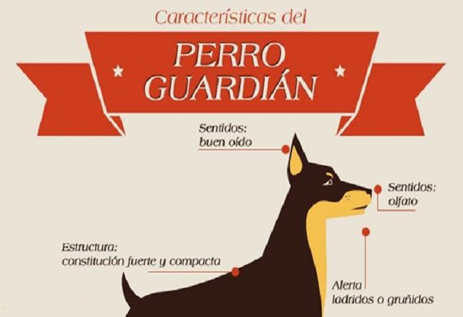 10 razas de perros guardianes