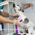¿Cómo ayuda el data science a la salud canina? 