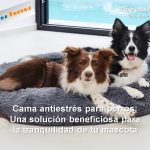 cama antiestrés para perros y sus beneficiosos