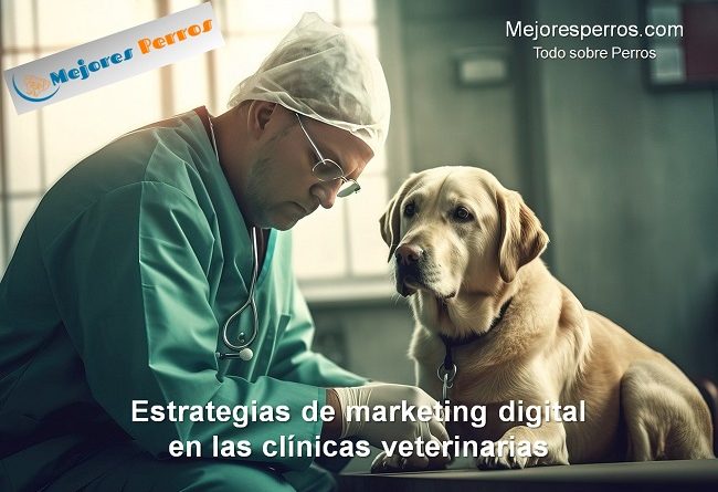 Estrategias de marketing digital en las clínicas veterinarias